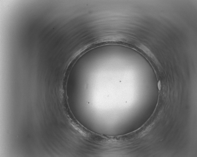 X0000069390834200605262114