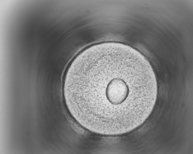 X0000069390836200605262114