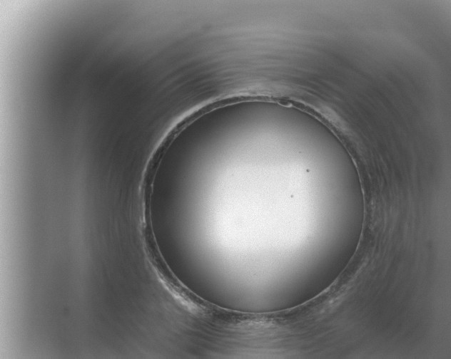 X0000069390838200605262114