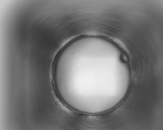 X0000069390839200605262114