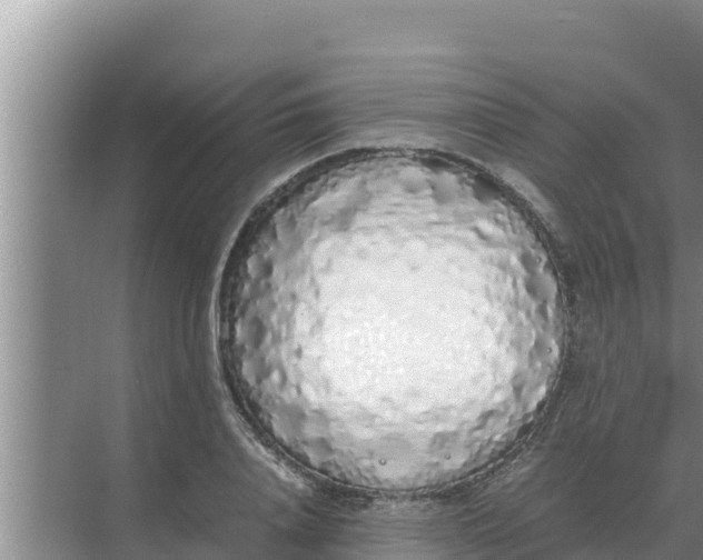 X0000069390840200605262114