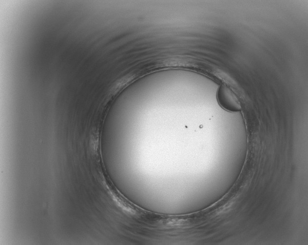 X0000069390841200605262114