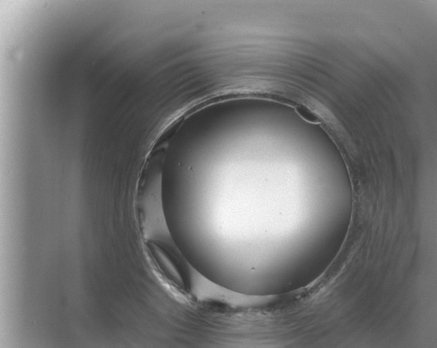 X0000069390842200605262114