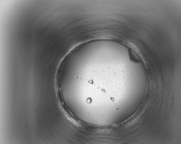 X0000069390843200605262114