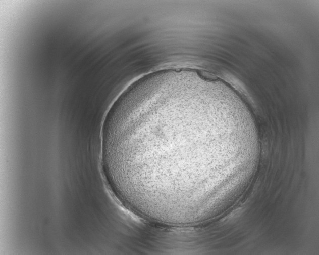 X0000069390844200605262114