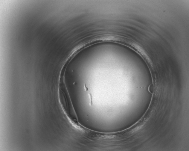 X0000069390845200605262114