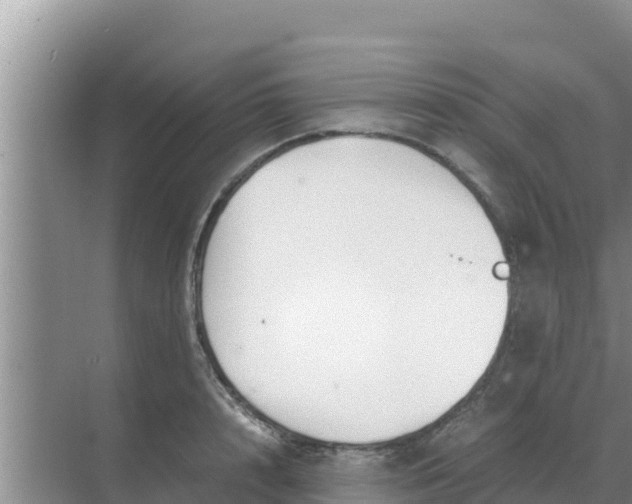 X0000069390848200605262114