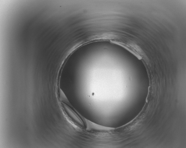 X0000069390850200605262114