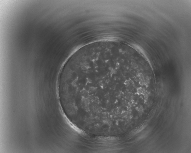 X0000069390851200605262114