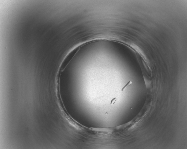 X0000069390854200605262114