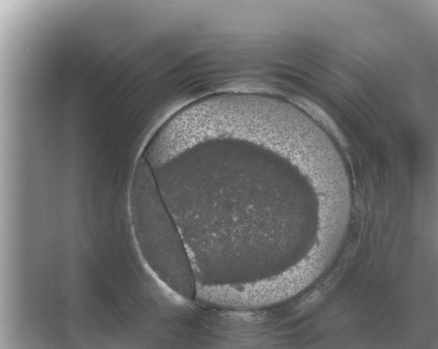 X0000069390855200605262114