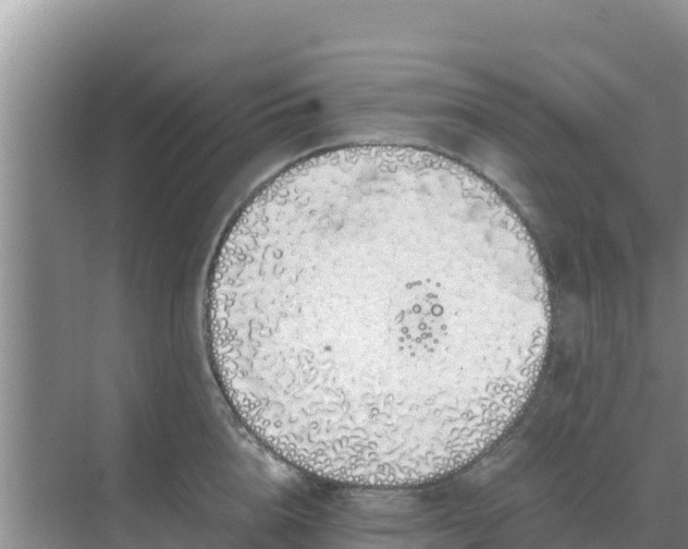 X0000069390856200605262114