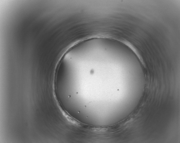 X0000069390861200605262115