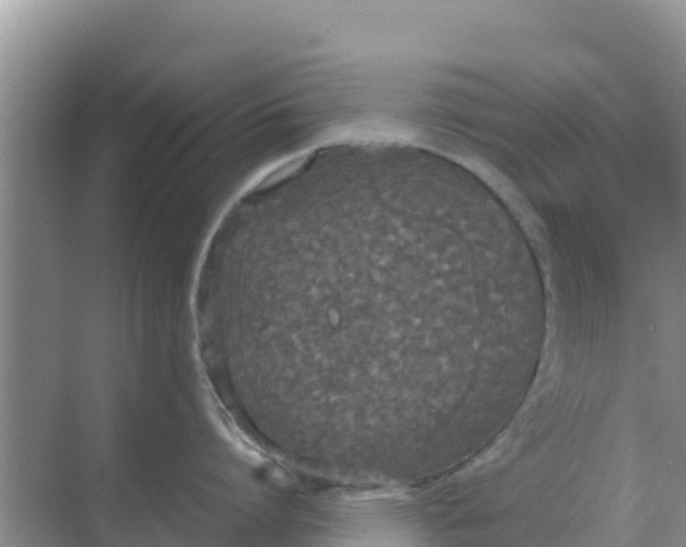 X0000069390864200605262115