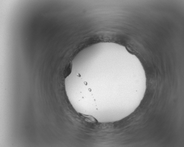 X0000069390865200605262114