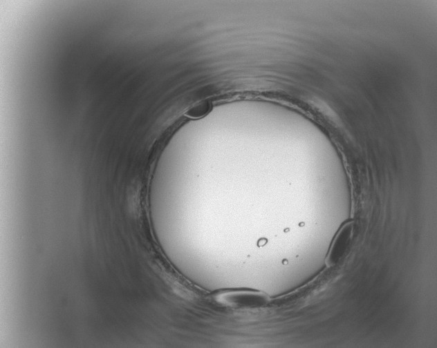 X0000069390873200605262114