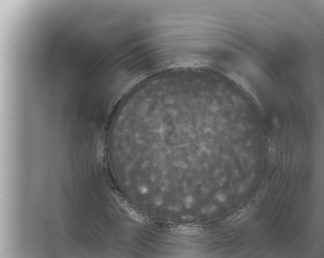 X0000069390874200605262114