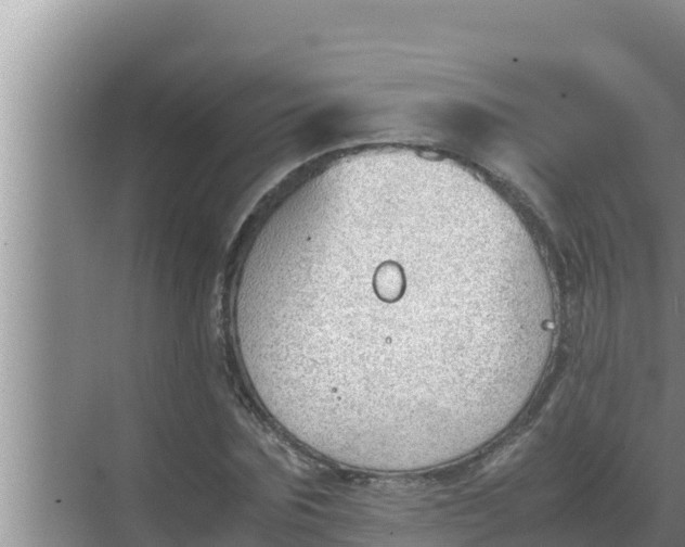 X0000069390875200605262114