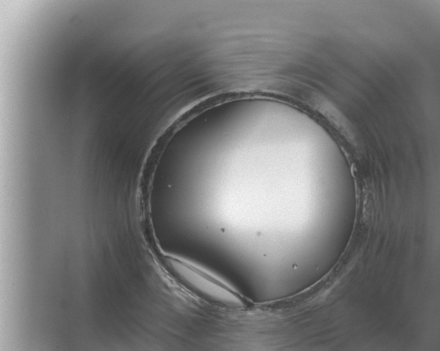 X0000069390876200605262114