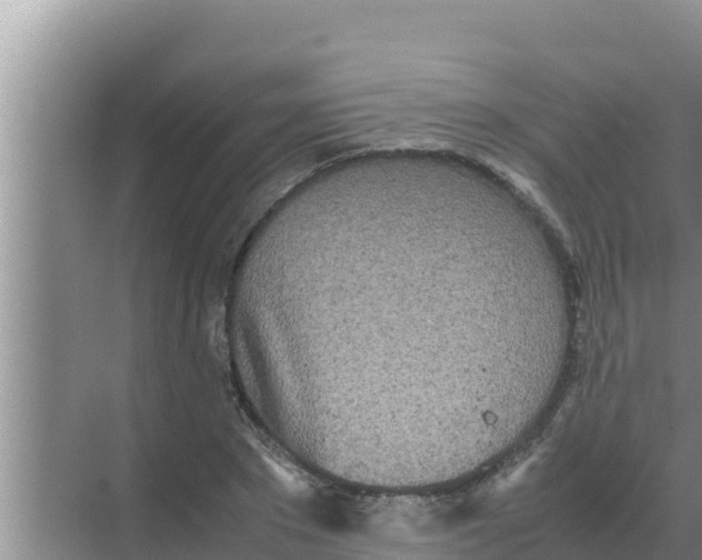 X0000069390881200605262114