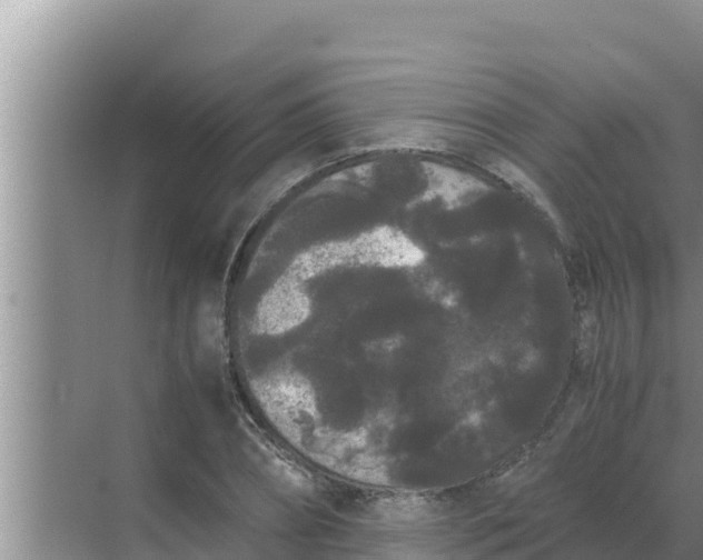 X0000069390882200605262113