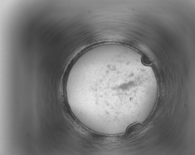 X0000069390883200605262113