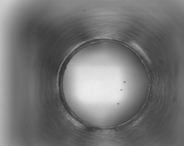 X0000069390884200605262113