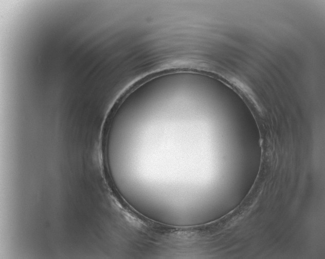 X0000069390888200605262113