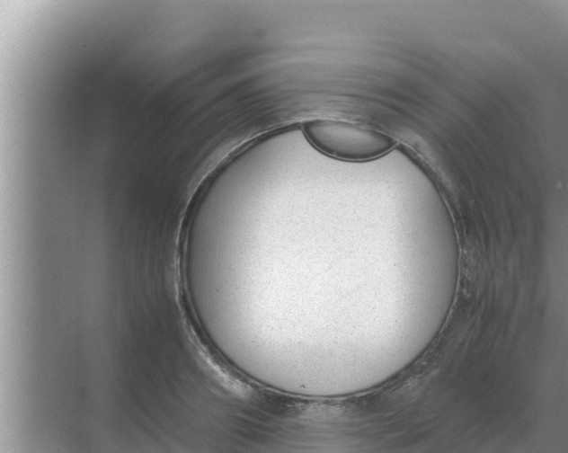 X0000069390890200605262113