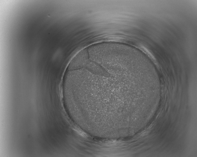 X0000069390891200605262113