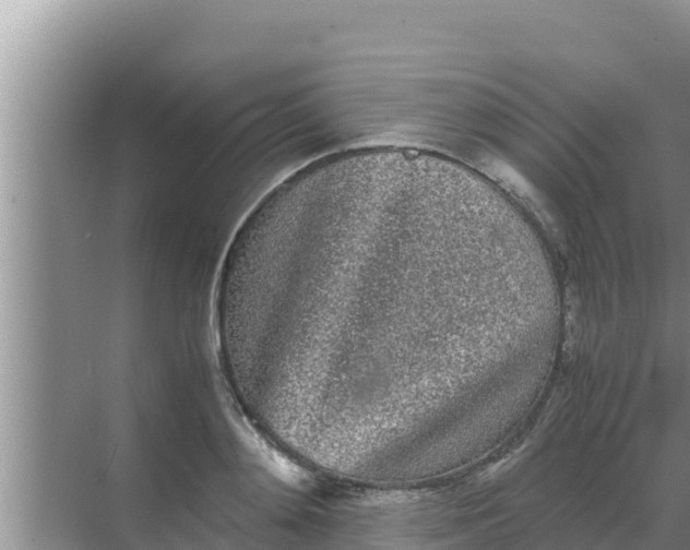 X0000069390892200605262113