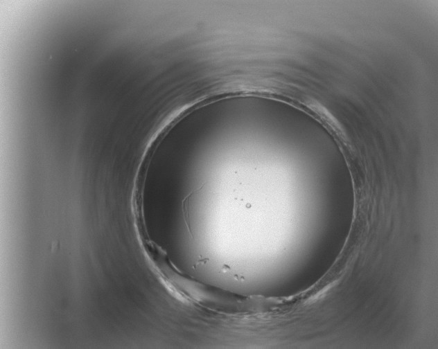 X0000069390893200605262113