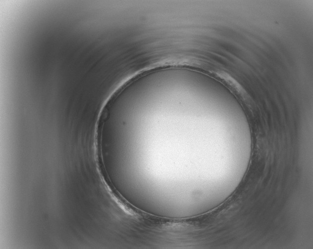 X0000069390894200605262113