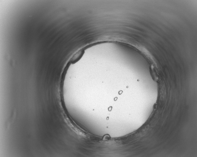 X0000069390896200605262113