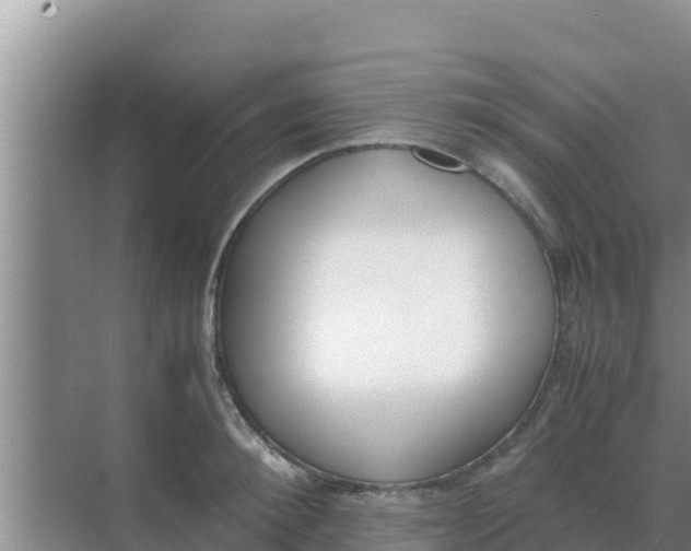 X0000069390900200605262113