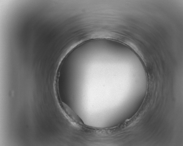 X0000069390901200605262113