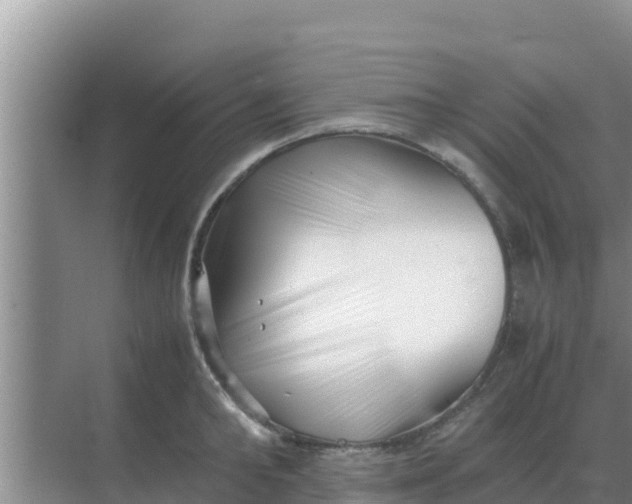 X0000069390902200605262113