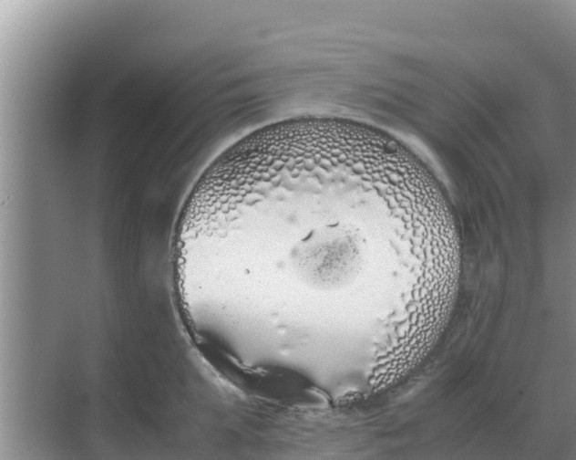 X0000069390903200605262113