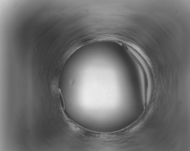 X0000069390905200605262113