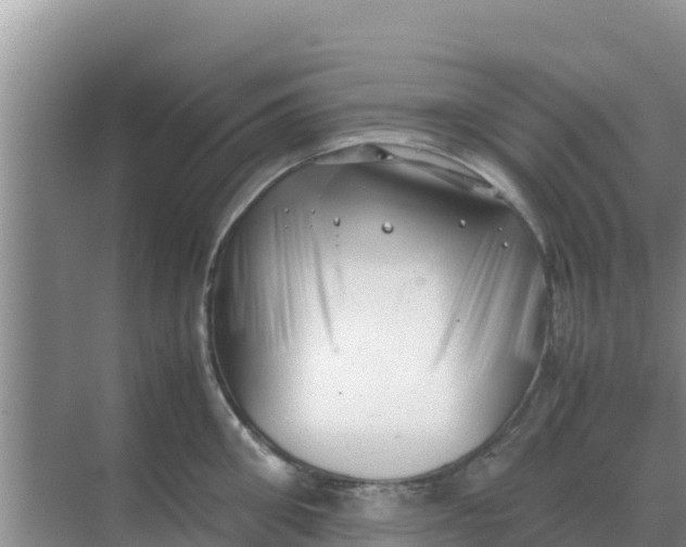 X0000069390906200605262113