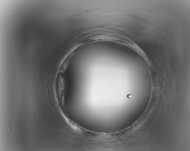 X0000069390909200605262113