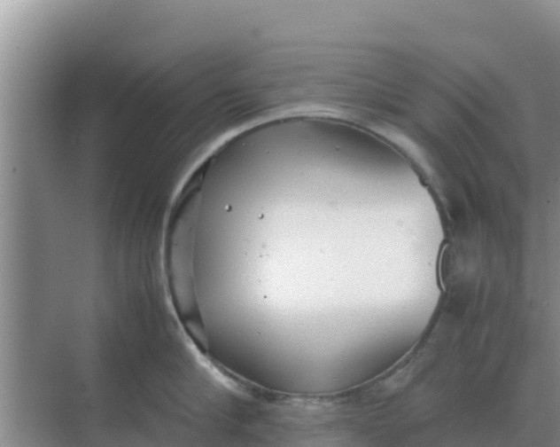 X0000069390910200605262113