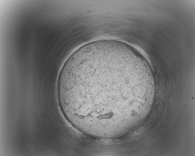 X0000069390911200605262113