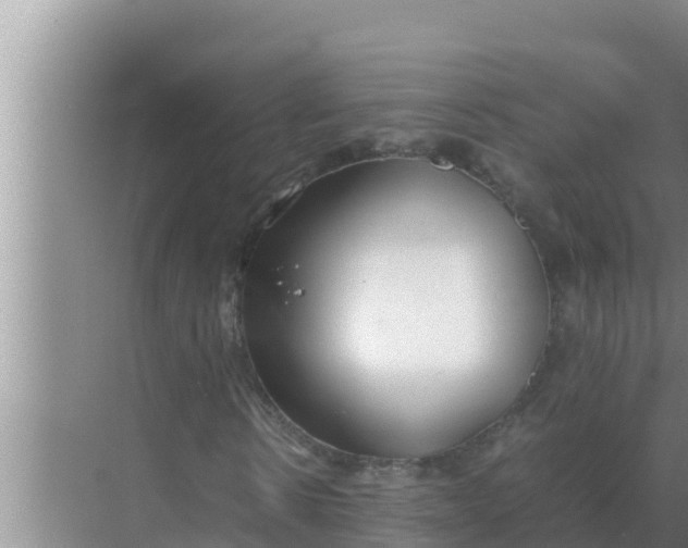 X0000069390914200605262112