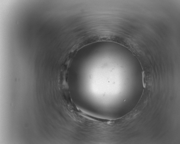 X0000069390916200605262112