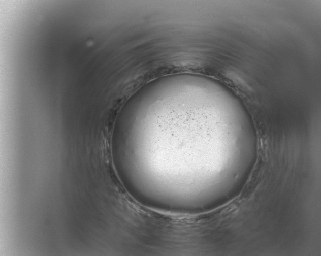 X0000069390917200605262112