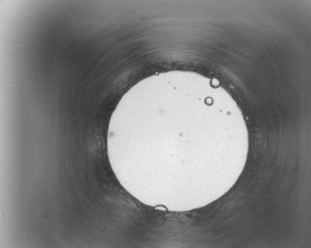 X0000069390918200605262112