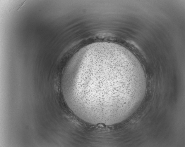 X0000069390919200605262112