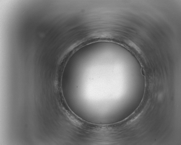 X0000069390922200605262112