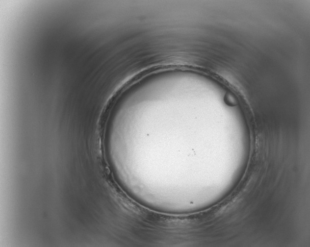 X0000069390925200605262112